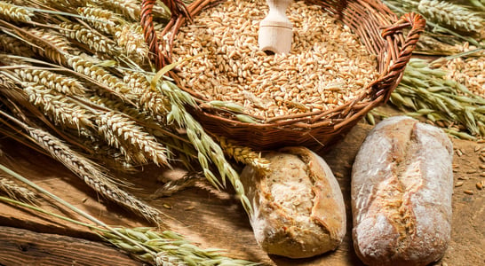 Whole Grains Month