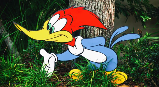 Woody Woodpecker Day