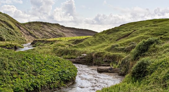 World Rivers Day