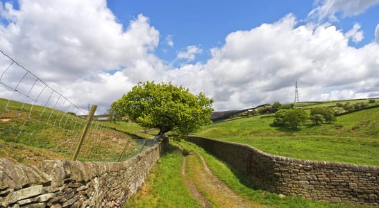 Yorkshire Day