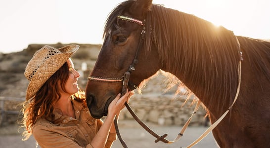 Horse Rescue Day