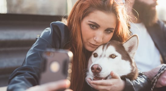 National Dog Photography Day