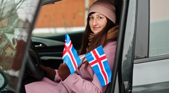 Icelandic Language Day