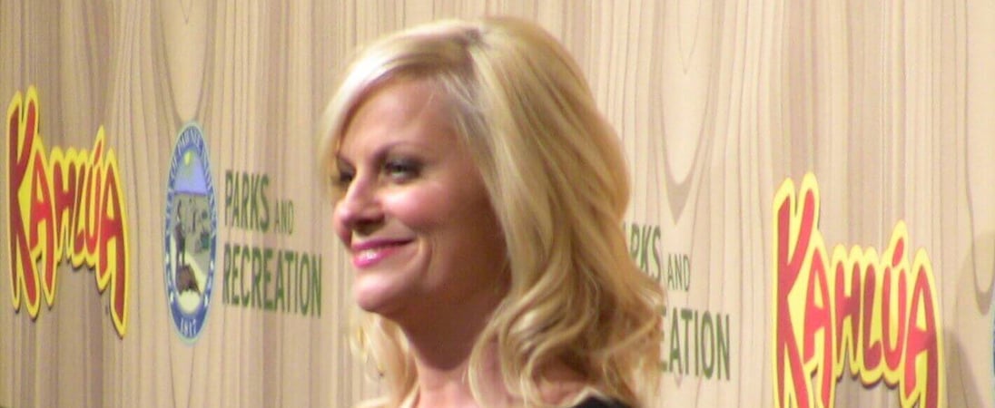 Amy Poehler