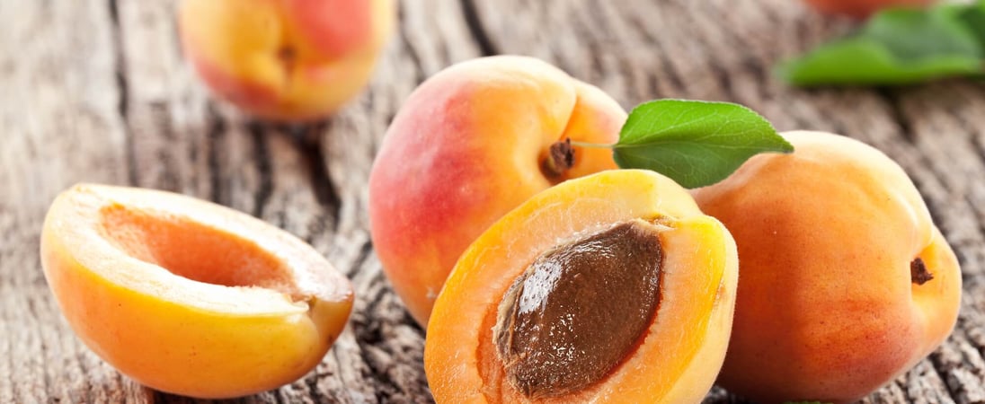 National Apricot Day