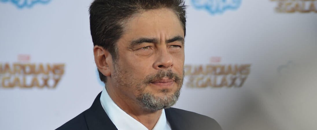 Benicio del Toro