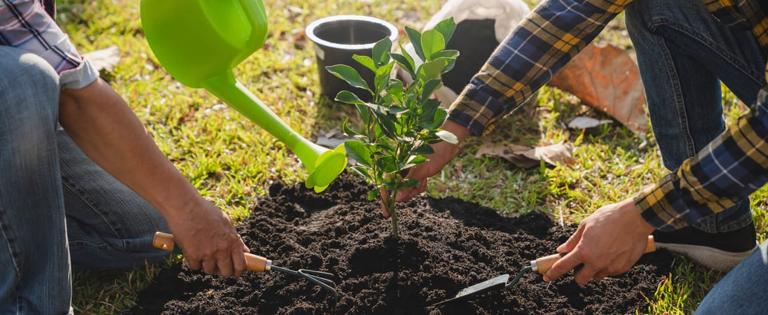 Canadian Environment Week