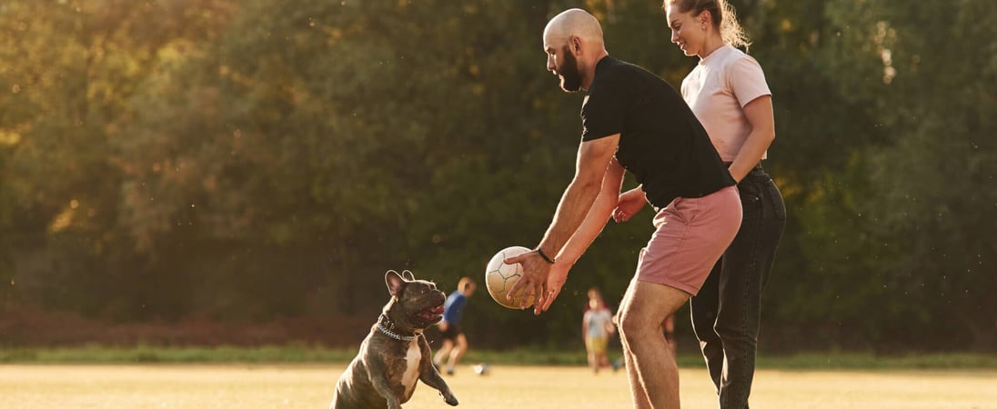 Canine Fitness Month