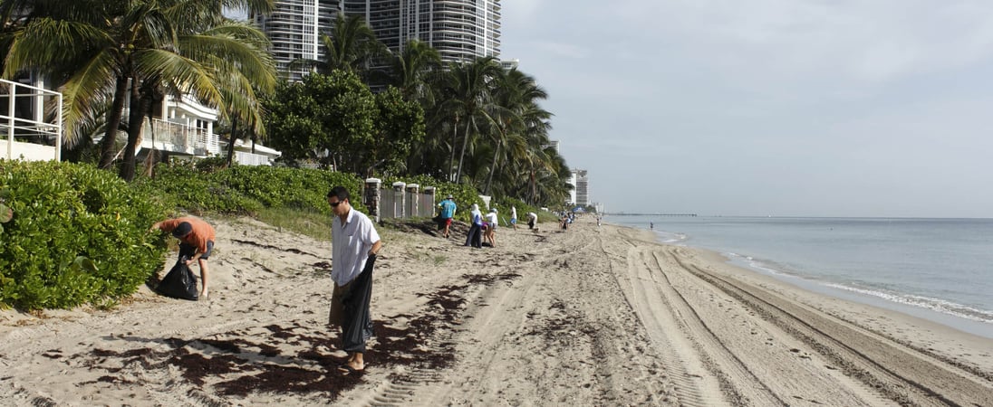 International Coastal Cleanup Day