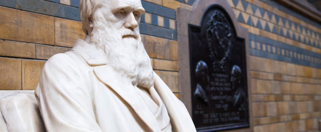 Darwin Day