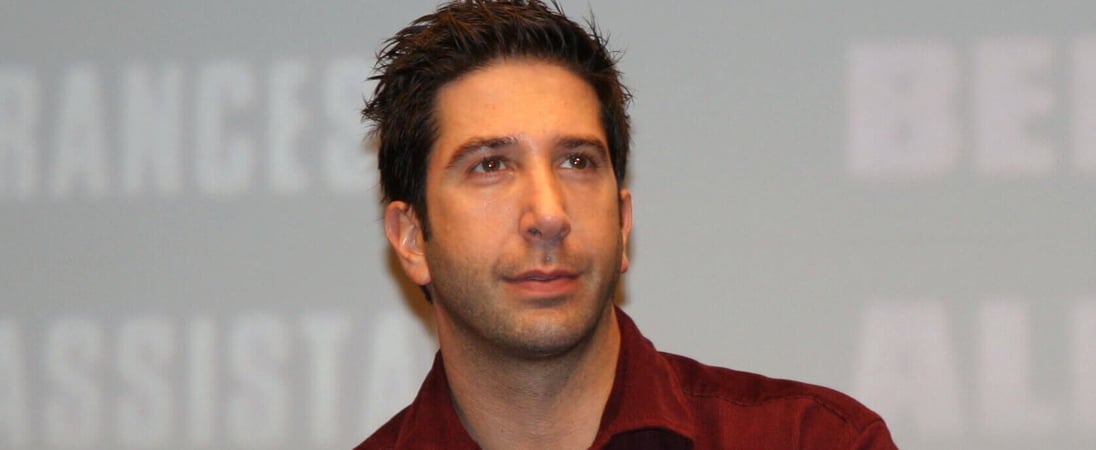 David Schwimmer