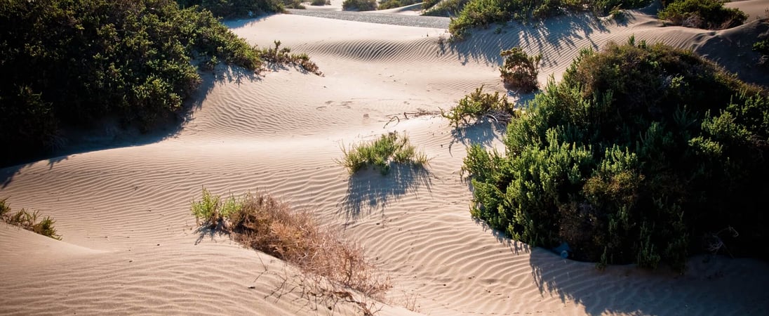 World Sand Dune Day