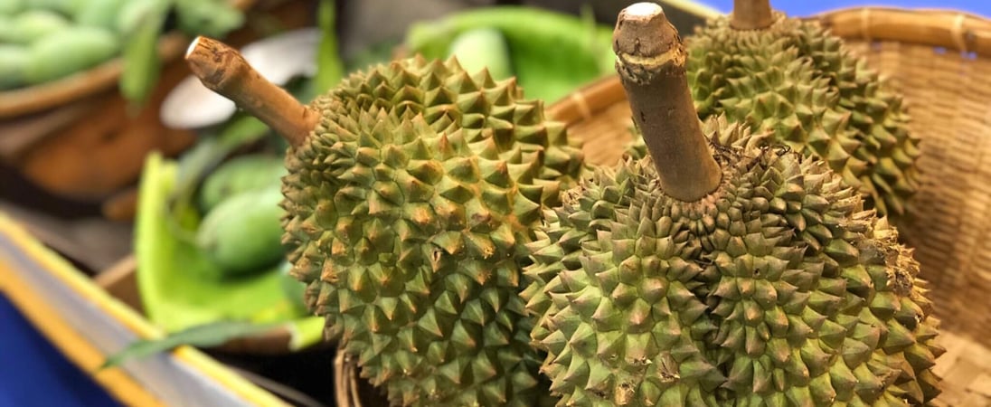 Durian Festival