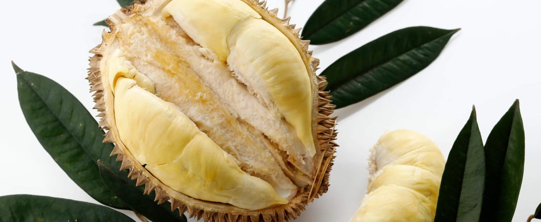 Durian Fruit Day