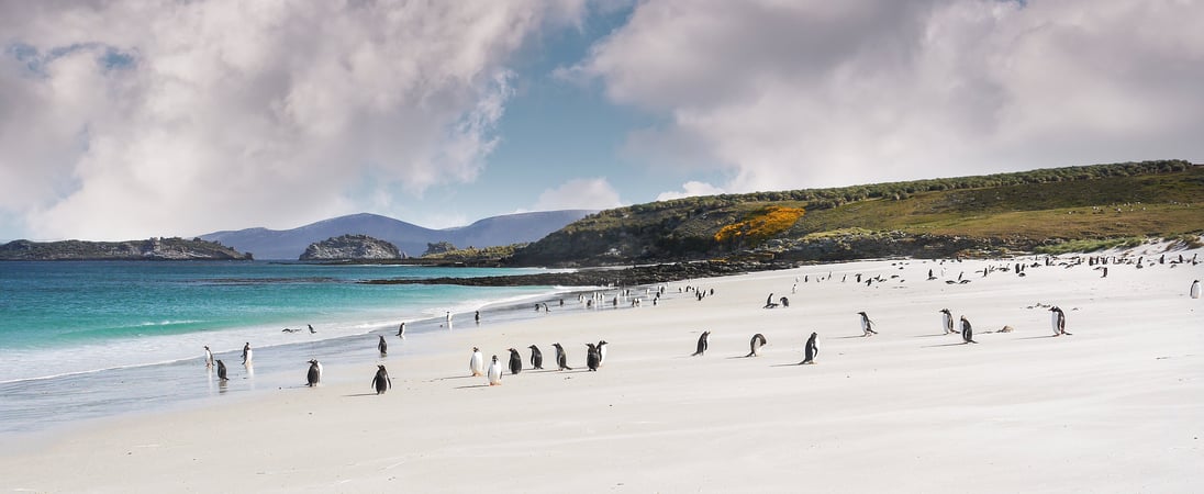 Falkland Islands Liberation Day