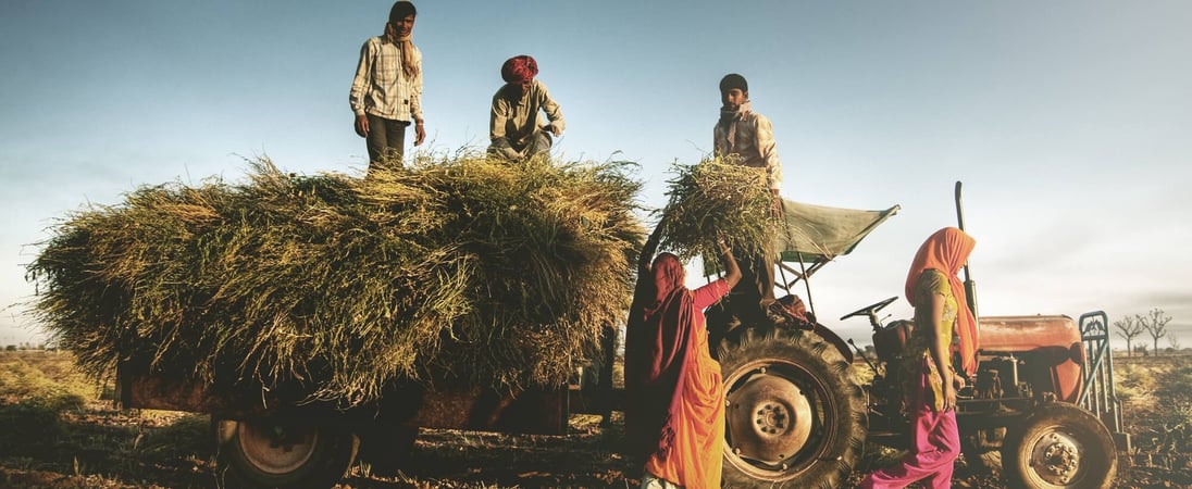 National Farm Workers Day