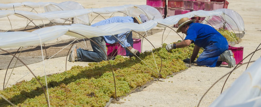 Farmworker Appreciation Day