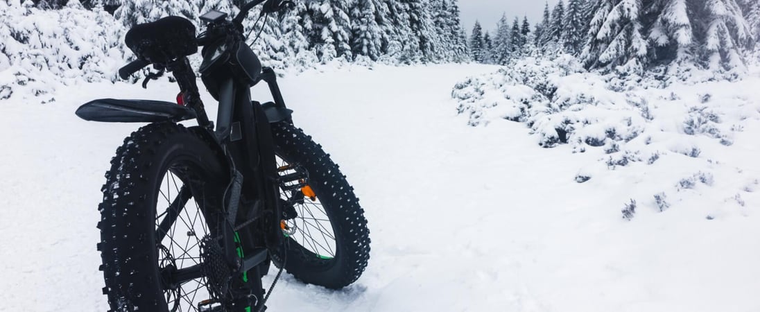 Global Fat Bike Day