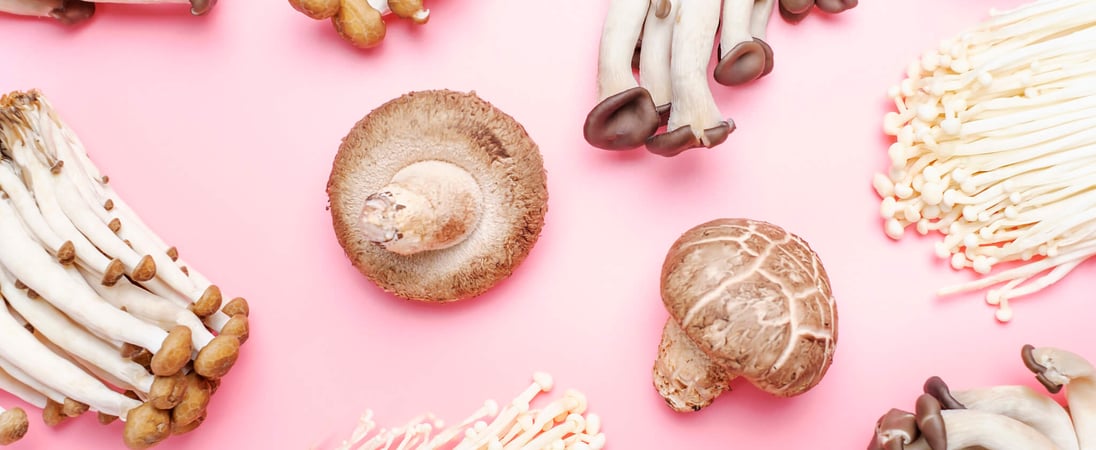 National Mushroom Month