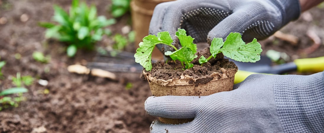 National Garden Month