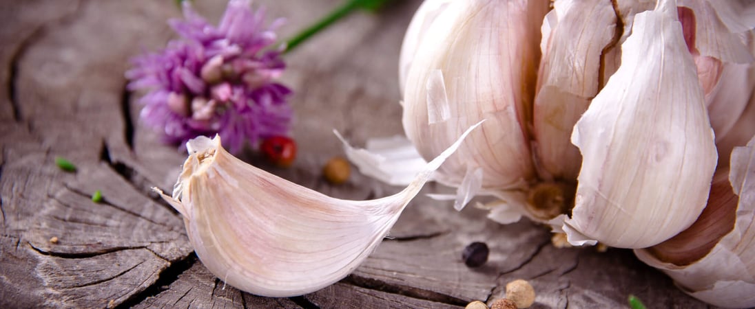 National Garlic Day