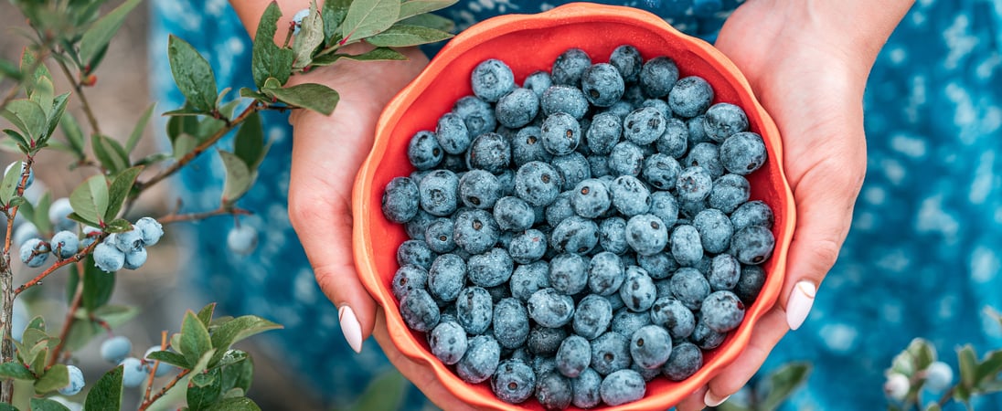 Georgia Blueberry Month