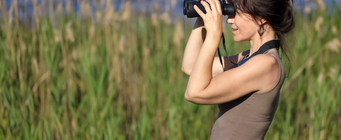 National Go Birding Day