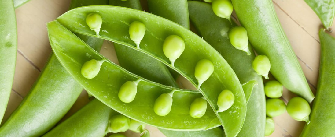 Great British Pea Week