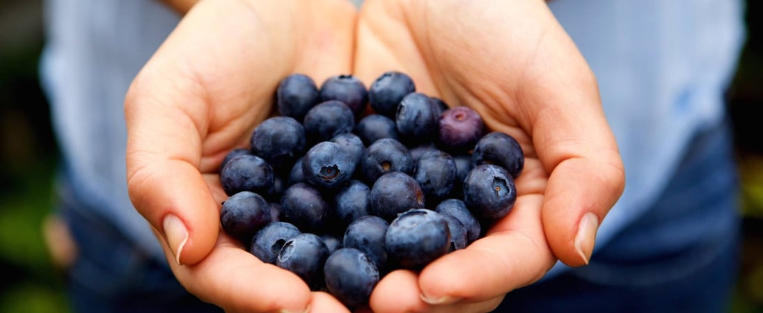 Pick Blueberries Day