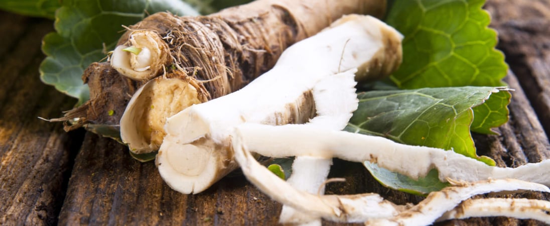 National Horseradish Month