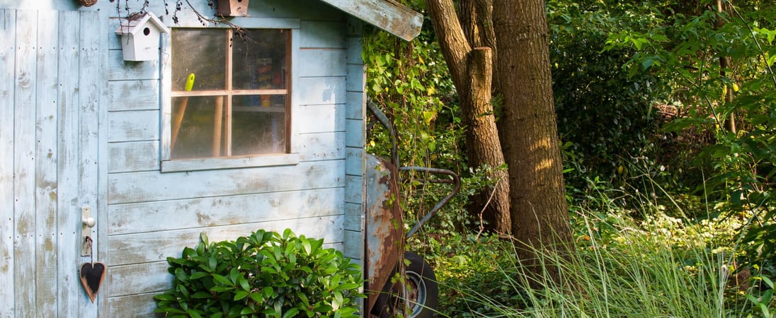 Hug A Shed And Take A Selfie Day