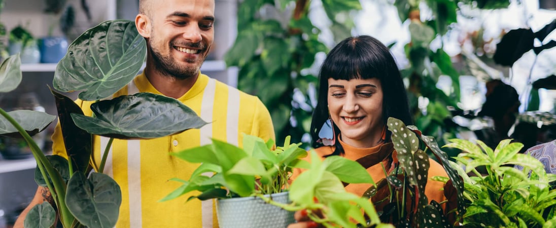 International Day of Plant Health