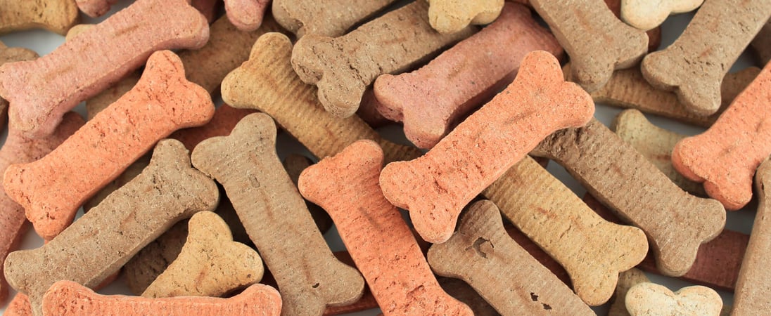 International Dog Biscuit Appreciation Day