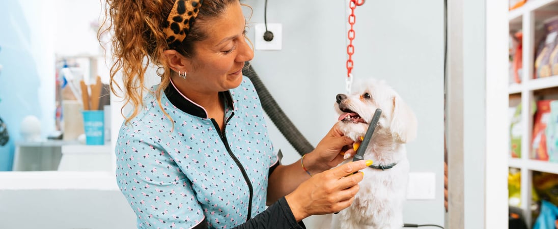 International Pet Groomer Appreciation Day