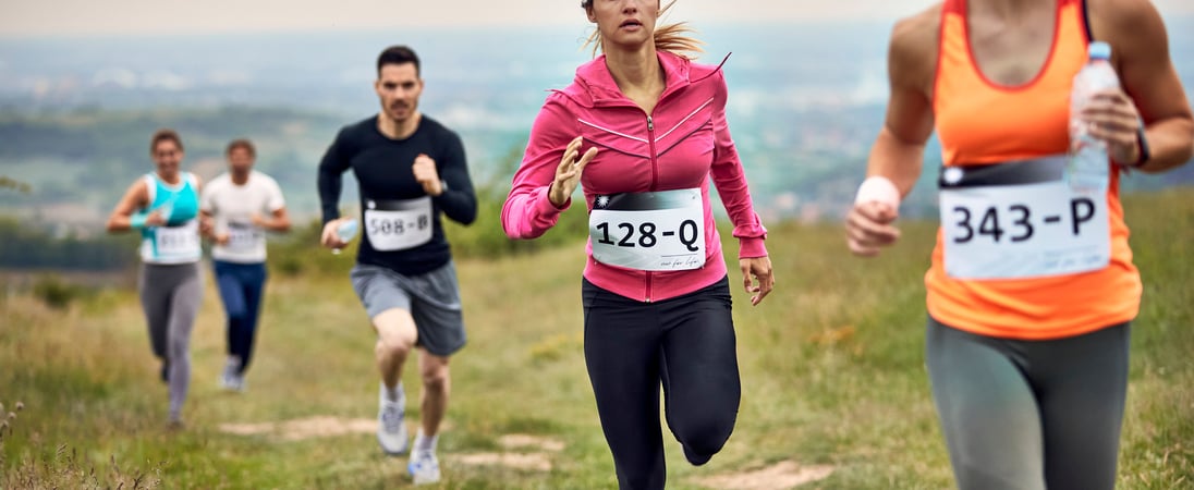 International Snowdon Race