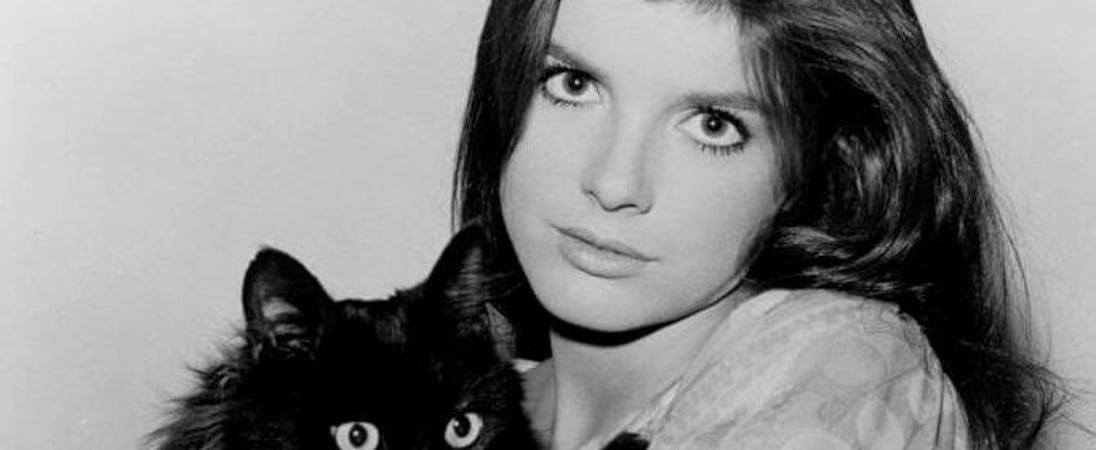 Katharine Ross