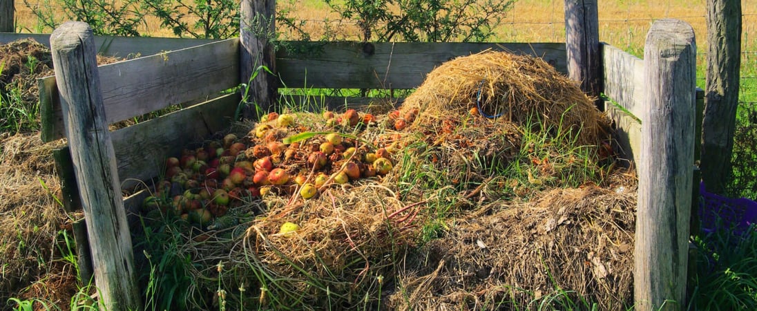 Learn About Composting Day