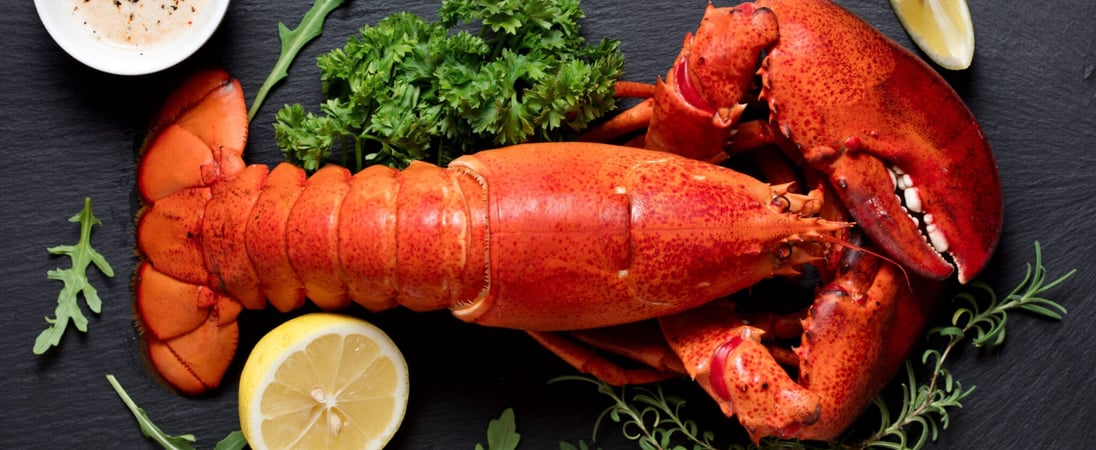 National Lobster Thermidor Day 