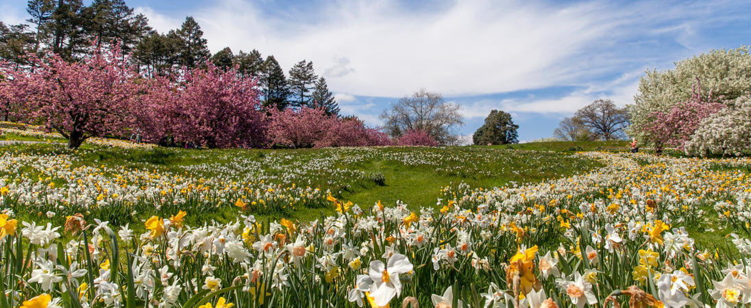 March Equinox