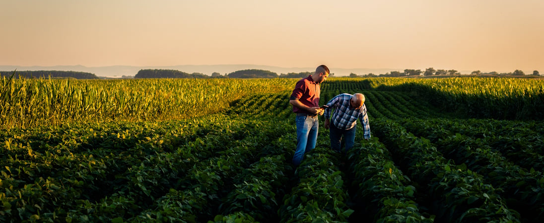 National Agriculture Day