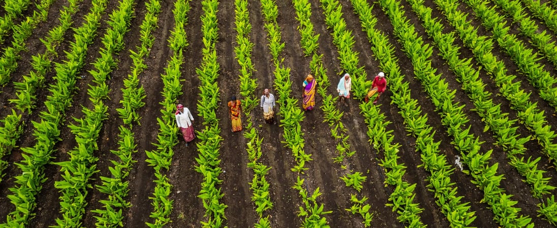 National Agriculture Week