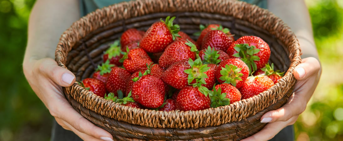 National California Strawberry Day