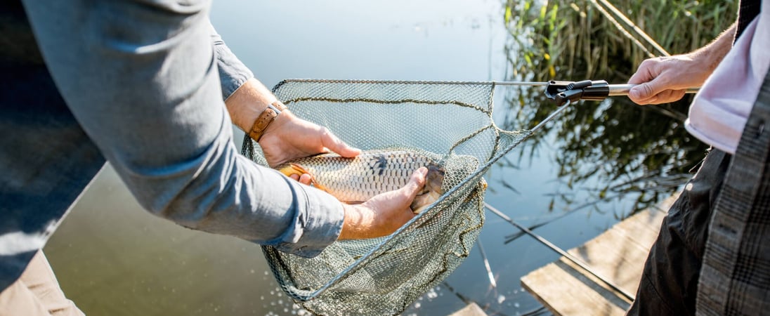 National Catch and Release Day