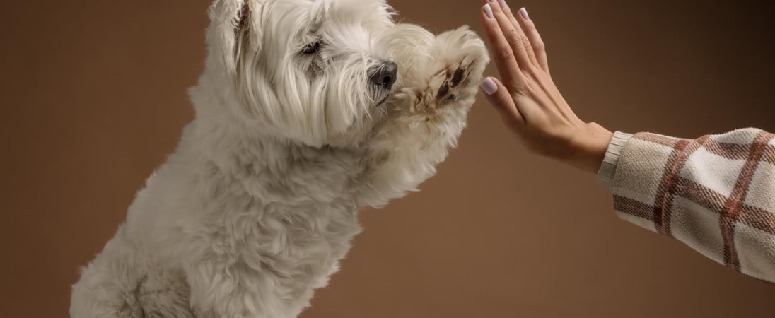 National If Pets Had Thumbs Day