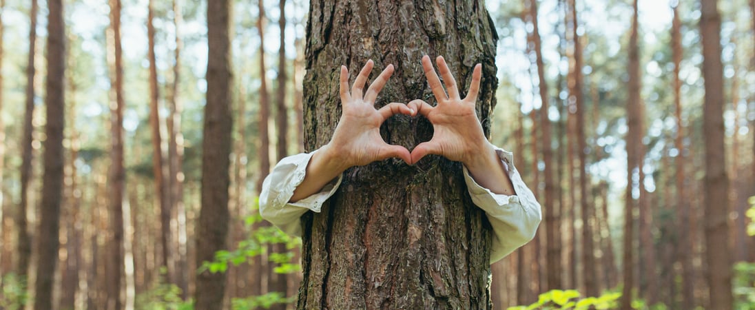 National Love a Tree Day