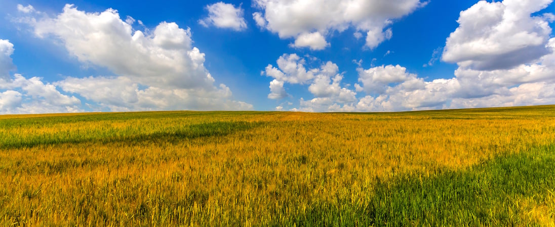 National Prairie Day