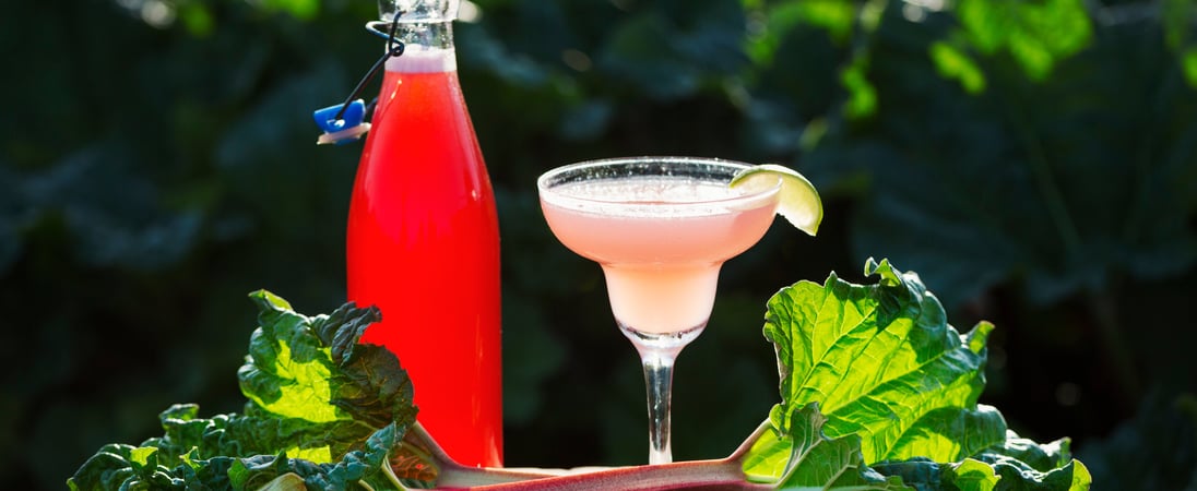 National Rhubarb Vodka Day