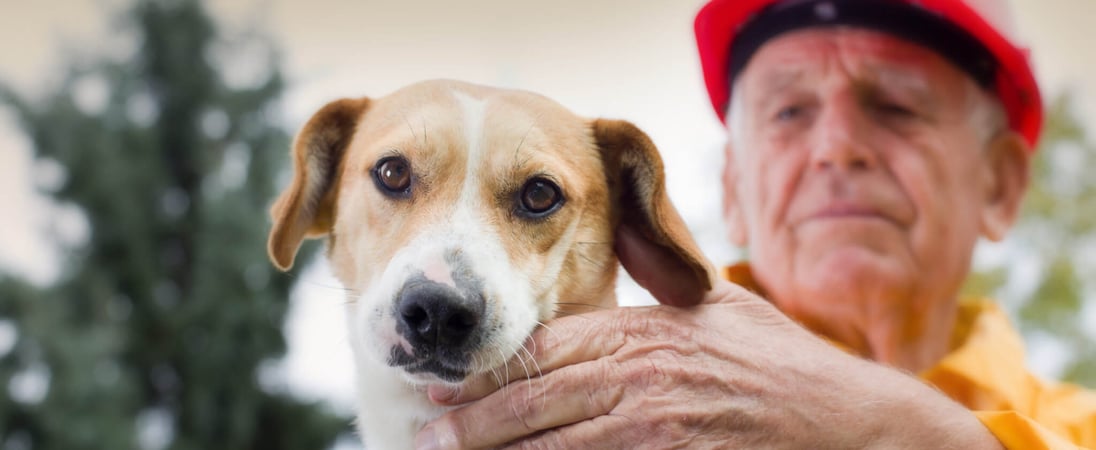 National Pet Fire Safety Day