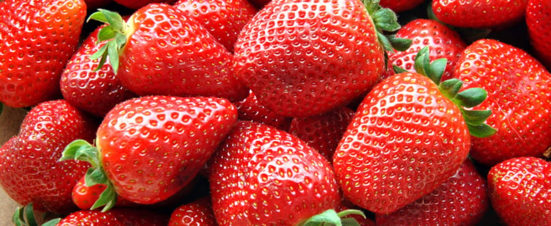 National Pick Strawberries Day