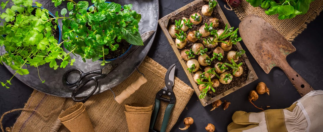 National Gardening Day